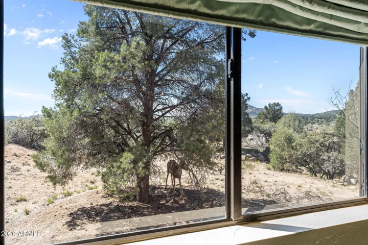 View From Bedroom Upstairs