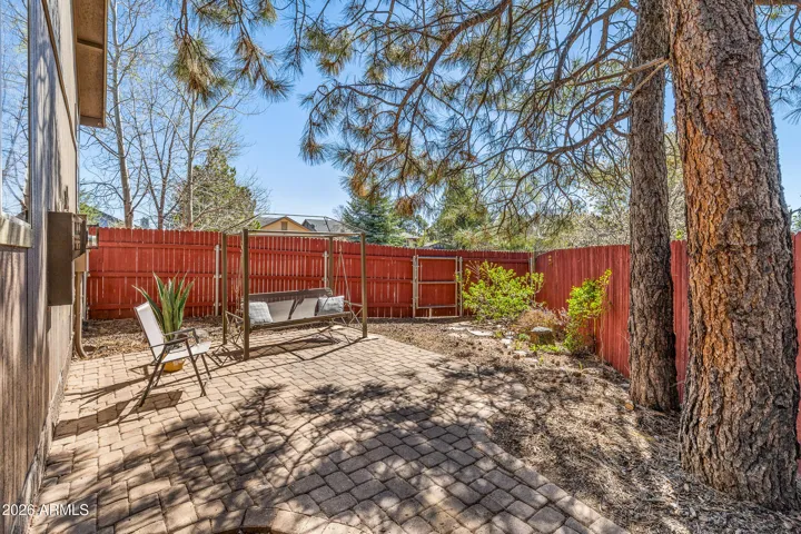 Back Garden