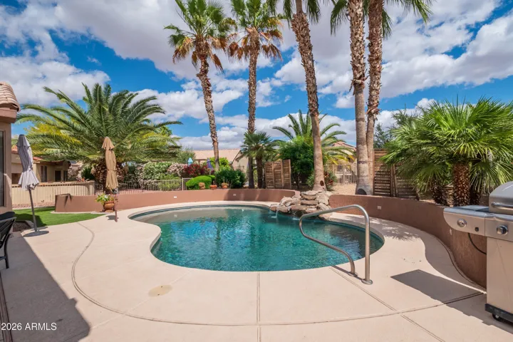 Backyard Oasis!