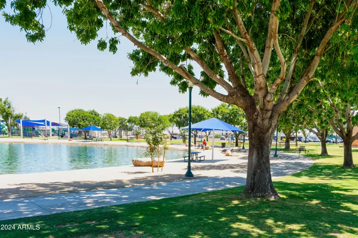 THIS AMAZING SURPRISE COMMUNITY PARK IS WITHIN 4 MILES OF OUR COMMUNITY.