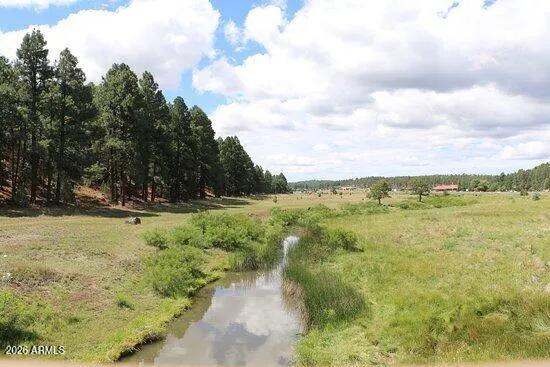 Show Low Creek below the Bluff