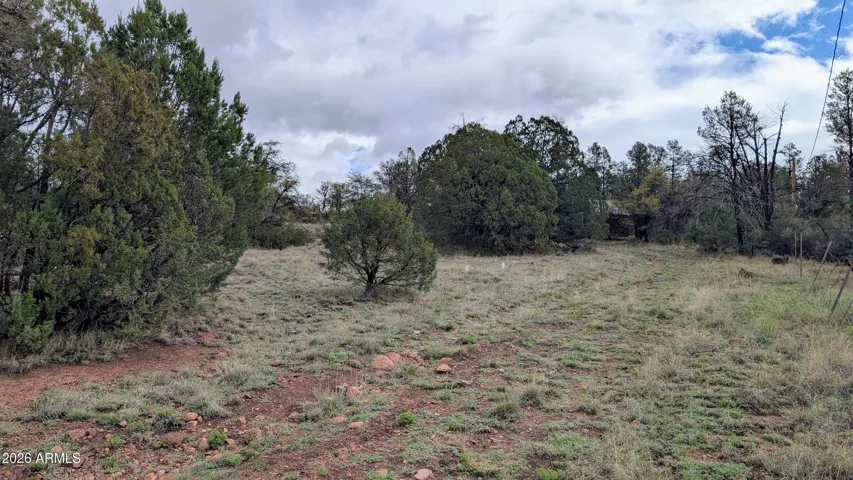 Entrance drive