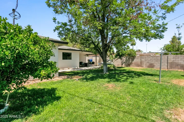 Backyard