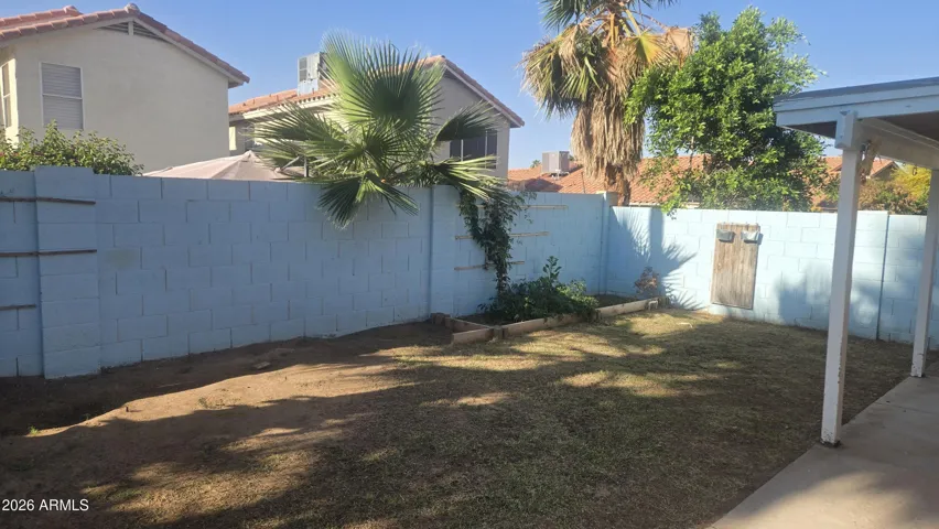 back yard