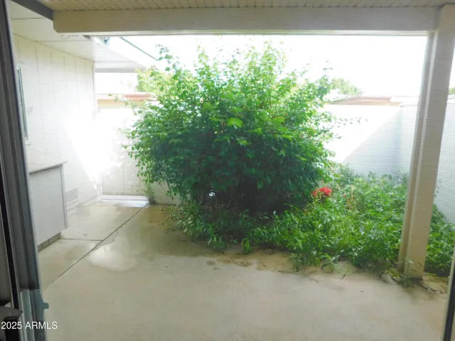 Back Patio