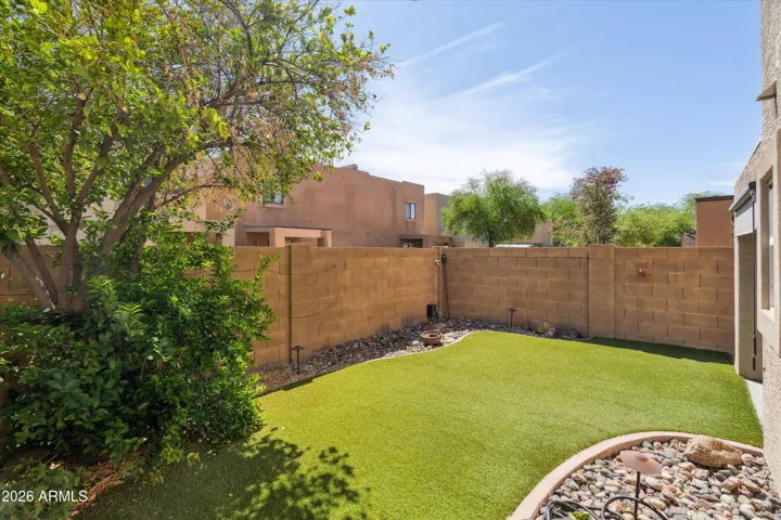 low maintenance backyard