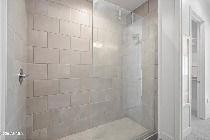 Primary Walk-In Shower