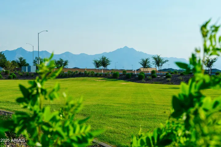 COMMUNITY IS SURROUNDED BY AMAZING MOUNTAIN VIEWS