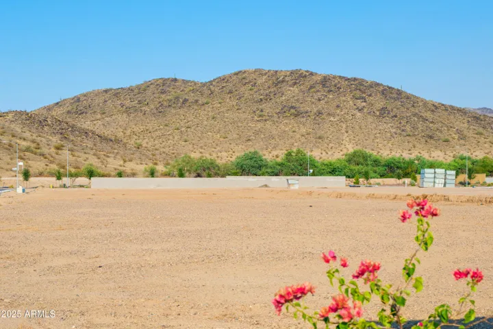 COMMUNITY IS SURROUNDED BY AMAZING MOUNTAIN VIEWS