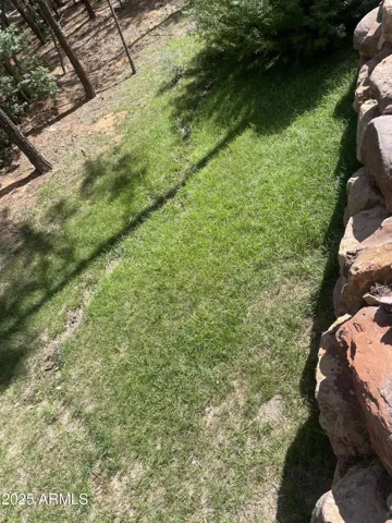 Backyard for picnic bench or cornhole games