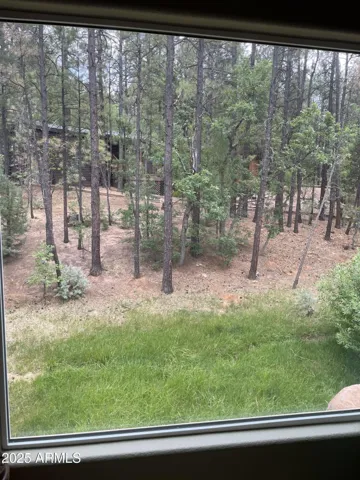 View from Dining Room