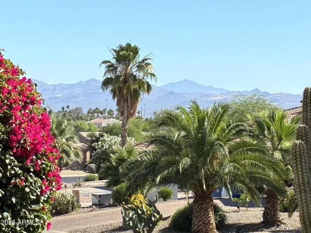 View from Primary Bedroom & Patio