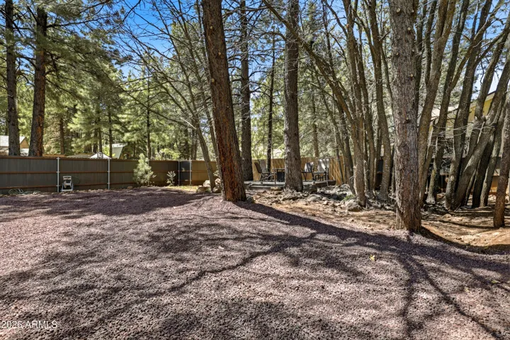 Large, private backyard with mature trees and plenty of space to enjoy the outdoors.