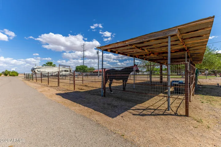 Covered Horse Stalls with auto water and turnout