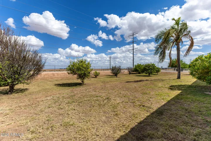 Front yard with multiple fruit trees to include, orange, grapefruit, apples, plums and grapes.