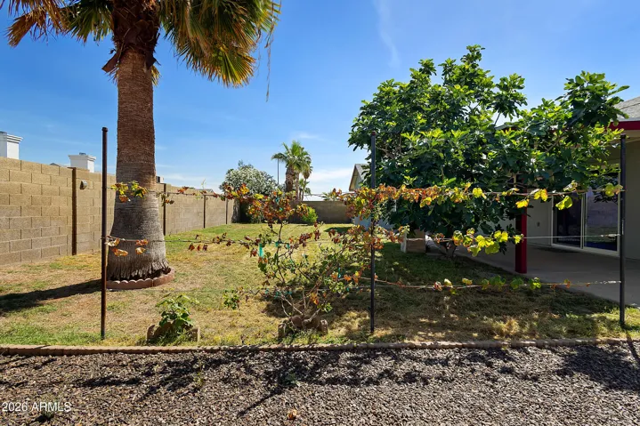 Backyard with mature fruit trees