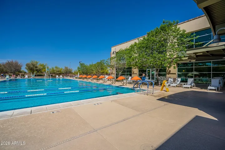Lap Pool