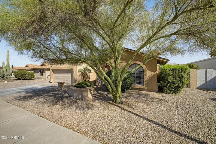 Beautiful front yard with established desert landscaping and a striking shade tree, creating natural curb appeal. This low-maintenance outdoor design enhances this Peoria home's welcoming presence.