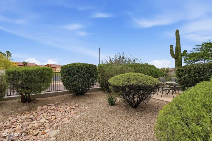 Rear Yard-2