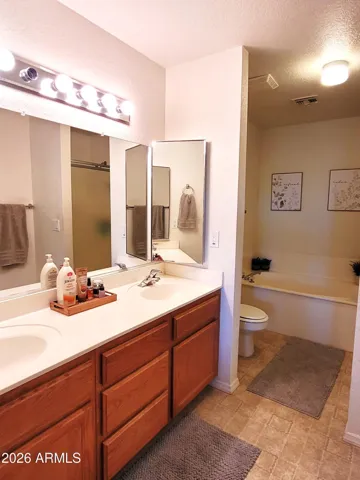 MASTER BATHROOM VIEW 1