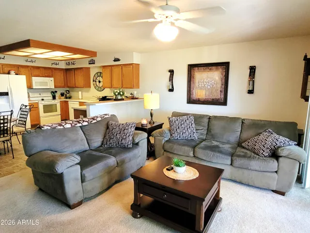 LIVING ROOM VIEW 1