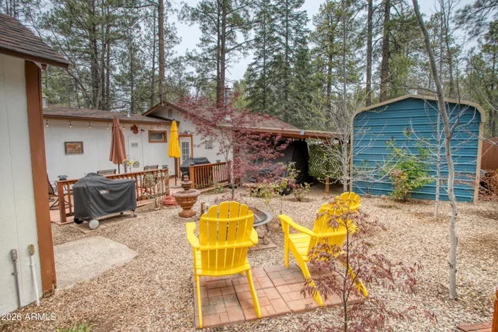 back yard view