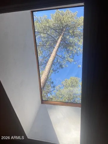 view from kitchen skylight