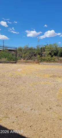 back yard