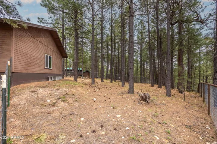 Fenced Area Behind Garage