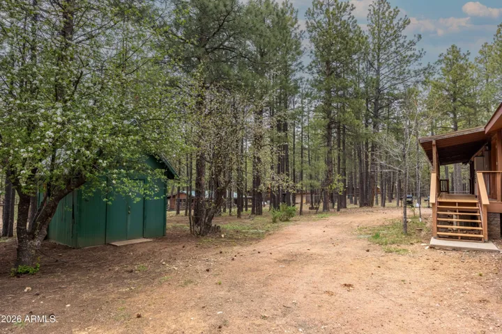 Apple Trees, Plum Tree & Storage Sheds