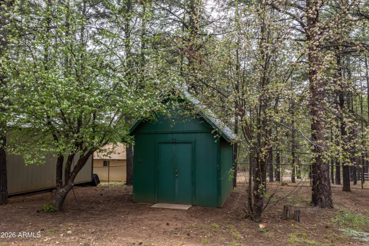 Apple Trees