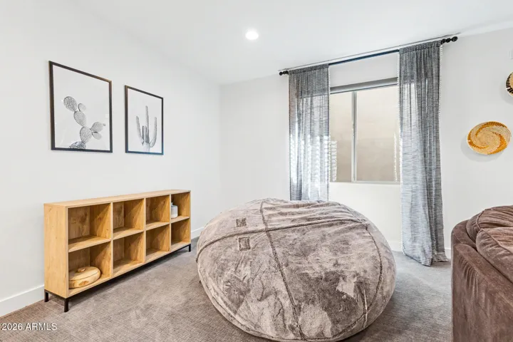 Basement Family Room