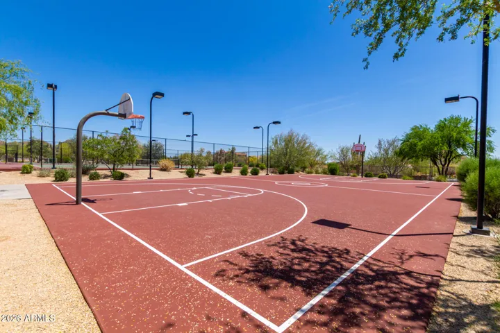 basketbacll court