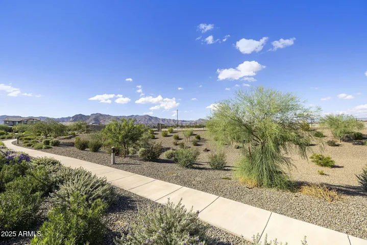 BEAUTIFUL DESERT OPEN SPACE BEHIND THE HOME AND WITHIN THE COMMUNITY. THE VIEWS ARE FABULOUS