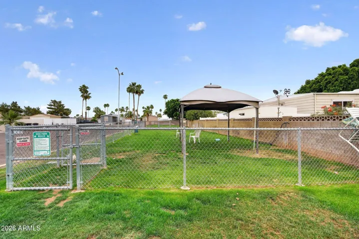 Dog Park