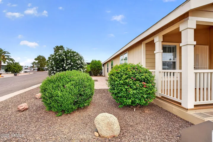 Side Yard