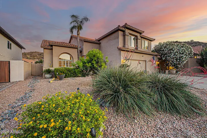 Desert landscaping