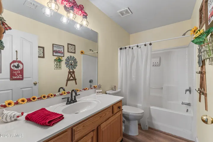 shower/tub in the hall bathroom.