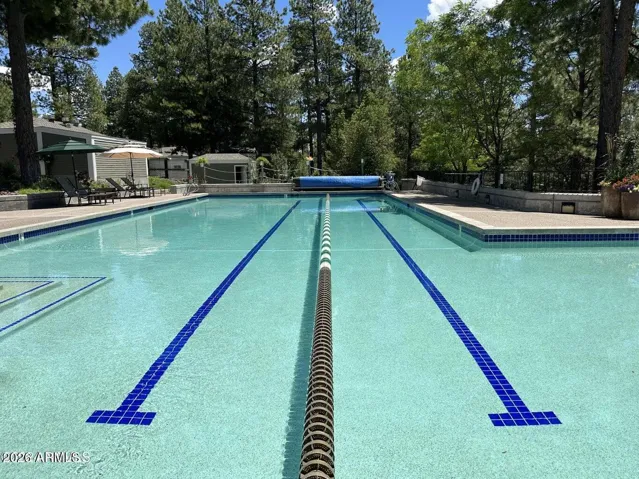 Resort-style lap pool with dedicated swim lanes, lounge seating, and peaceful forest surroundings designed for year-round enjoyment in Flagstaff.