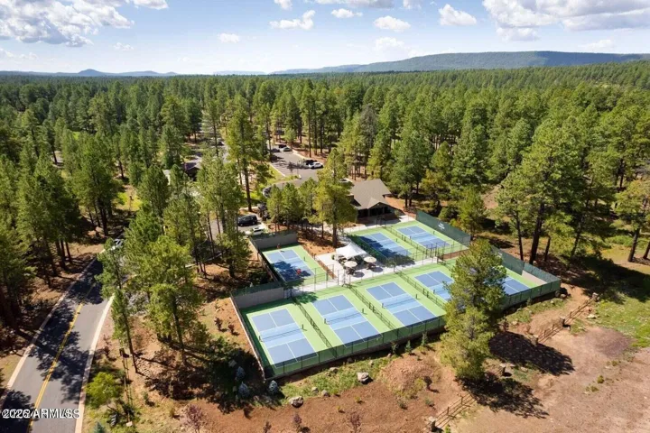 Impressive community pickleball complex surrounded by towering pine trees with multiple courts and beautiful mountain scenery in Flagstaff.