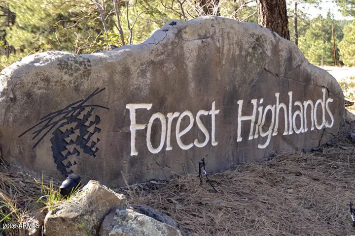 Welcome Home to Forest Highlands
