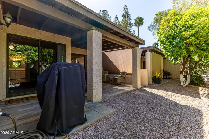Patio/Backyard