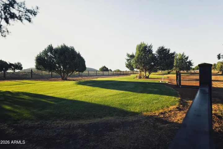 Dog Park