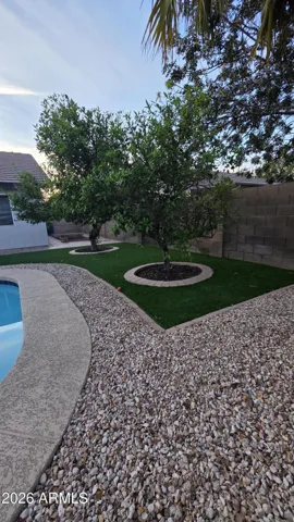 Mature Orange and Key Lime Trees