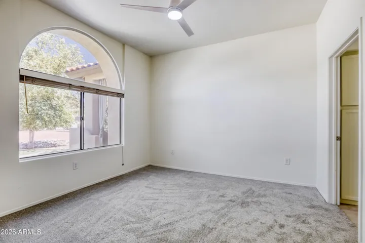 NEW CARPET 2026