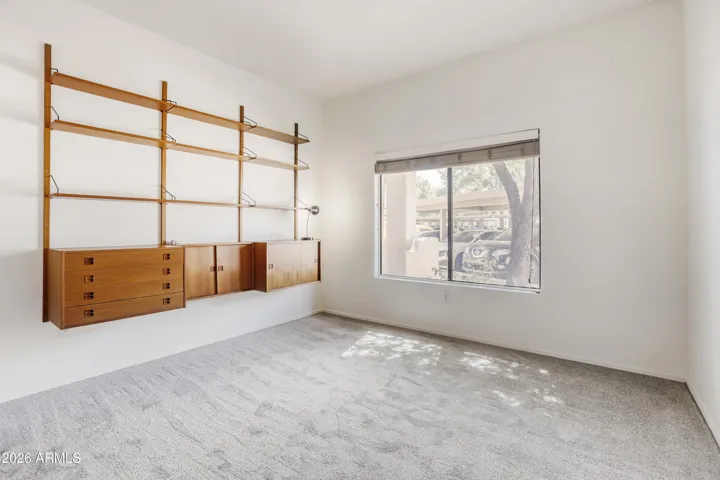 NEW CARPET IN 2026
