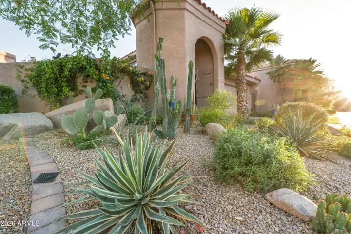 Front Desert Landscape