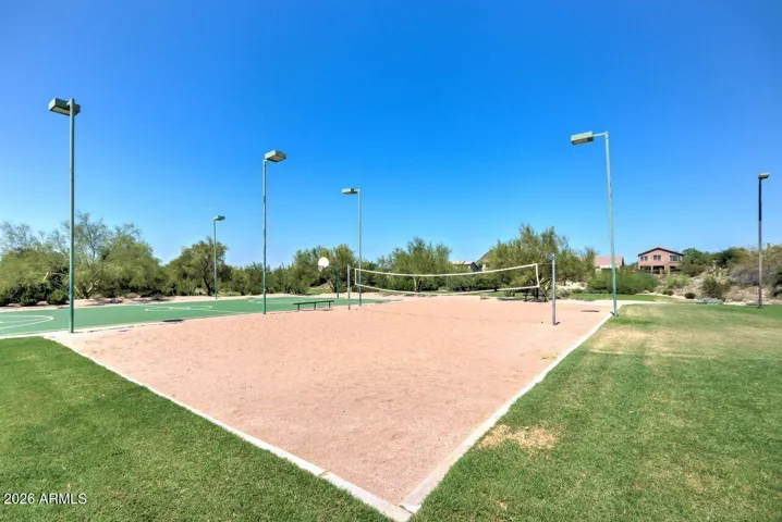 Volley Ball & pickle Ball