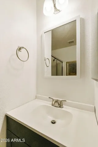 New vanity and fixtures - Hall bath