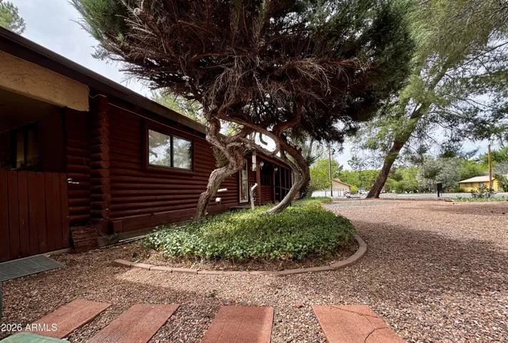 Front Yard